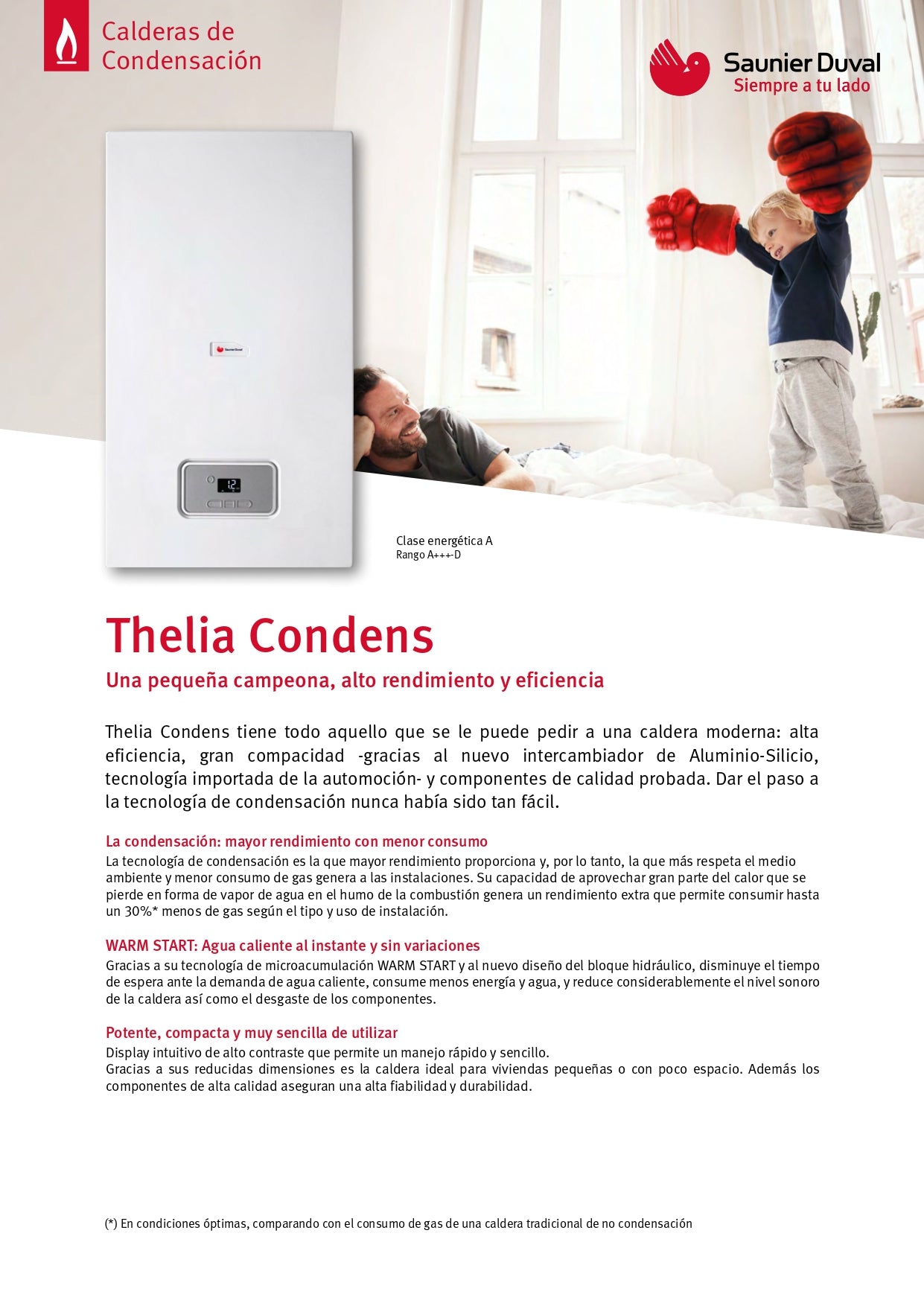 Saunier Duval - Thelia Condems